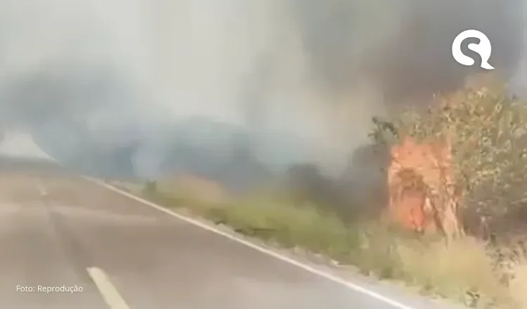 Internauta denuncia queimadas na estrada entre Sobral e Massapê
