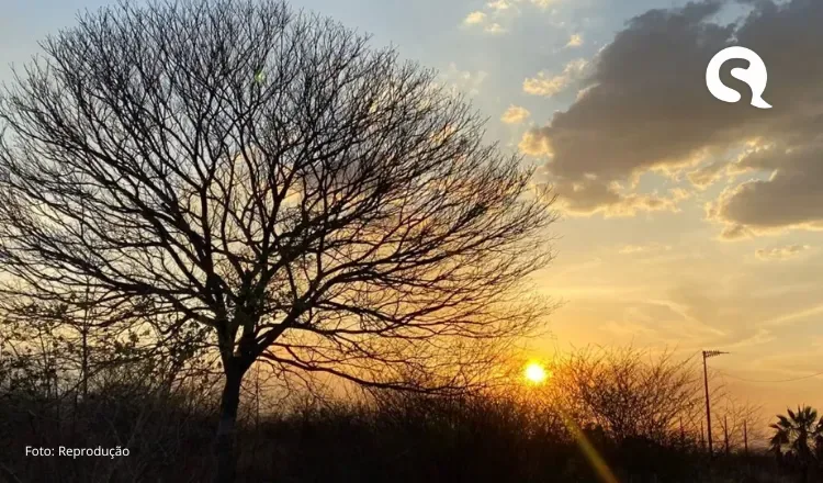 Ceará registra 24 municípios em alta vulnerabilidade climática, agrícola e social, aponta Ipece