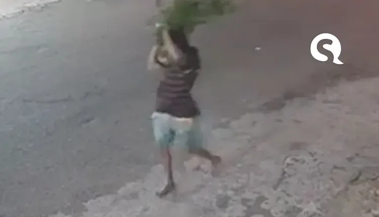 Homem é flagrado furtando vaso com planta em Sobral