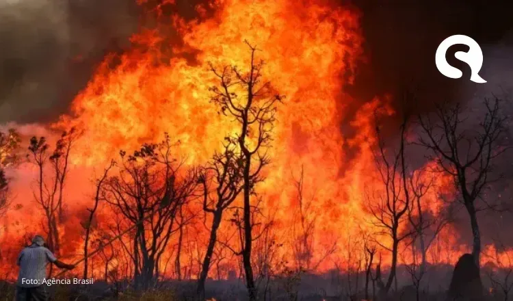 Número de queimadas no Ceará aumentam 112% em setembro, alerta Enel