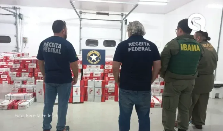 Receita Federal e Ibama apreendem mais de 40 toneladas de peixe ameaçado de extinção no Ceará