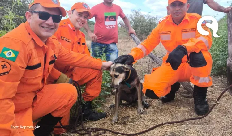 Corpo de Bombeiros resgata cachorro de cacimba em Sobral