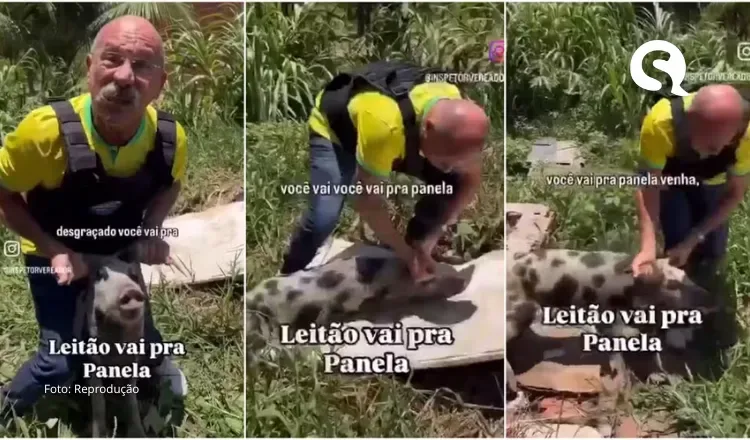 Conselho de Medicina Veterinária pede cassação do mandato de vereador gravado agredindo porco no Ceará