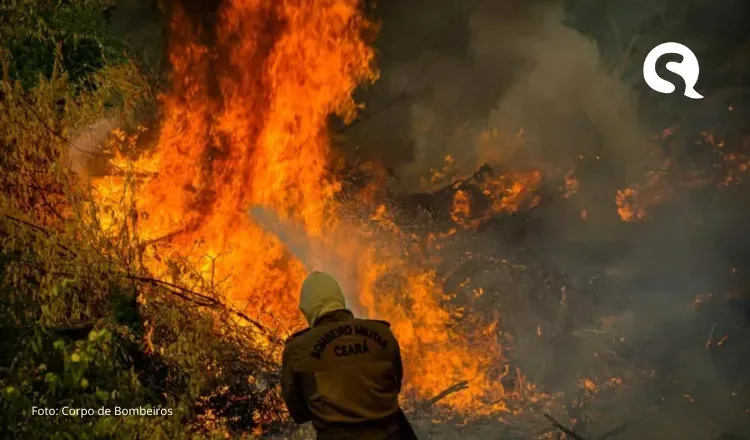 Ceará ganha plataforma de monitoramento para combate a incêndios florestais