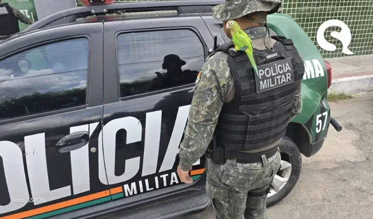 PMCE resgata periquito-da-caatinga lesionado em rodovia de Sobral