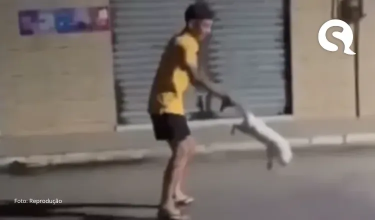 Jovem arremessa gato sobre telhado no Ceará