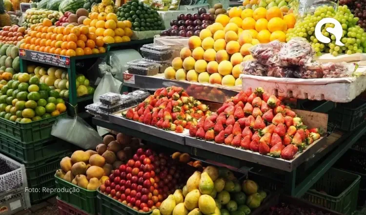Ceará: 37 produtos da cesta básica têm isenção de ICMS e 14 estão com redução