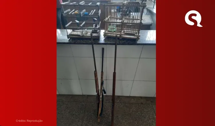 Polícia Militar apreende três armas de fogo artesanais e resgata pássaro silvestre em Viçosa do Ceará