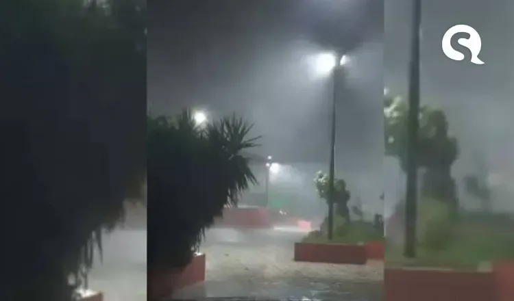 Chuva com ventania derruba árvores e causa queda de muro de creche em Hidrolândia