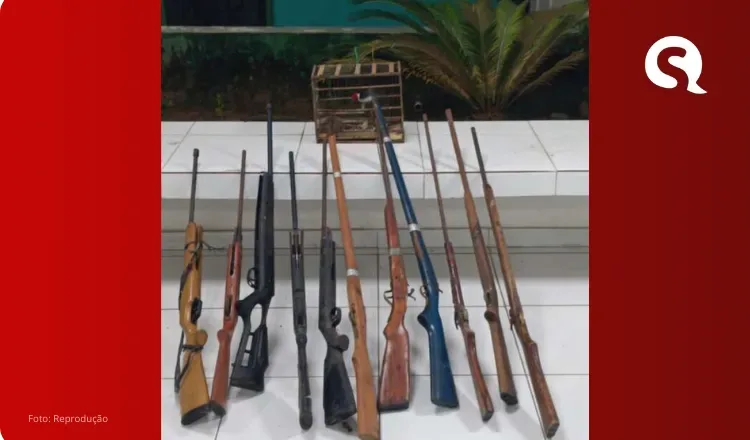 Ação da PMCE resulta na apreensão de 11 armas e aves silvestres em Ipueiras