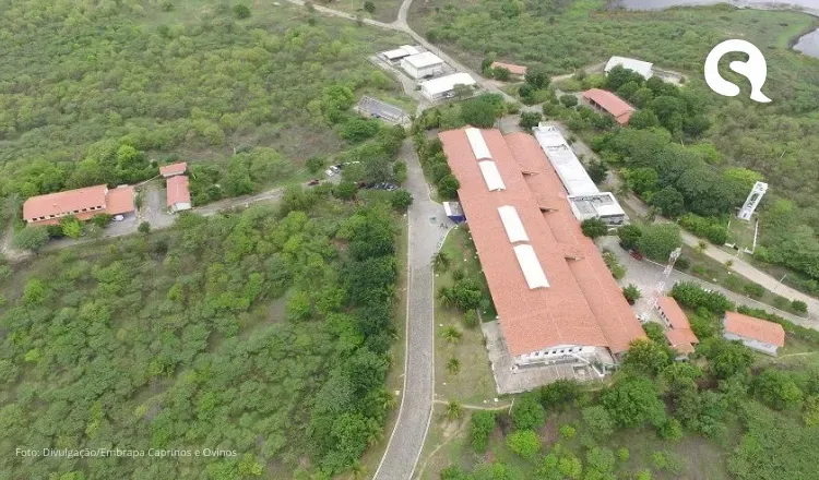 Embrapa seleciona estudantes para bolsas de iniciação científica em Sobral (CE)