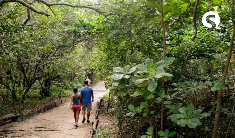 Cocó é o parque estadual mais visitado do Brasil e Jericoacoara o mais visitado do Nordeste