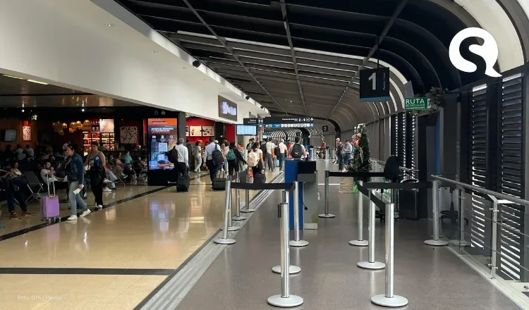 Guia prático para fazer seu check-in online