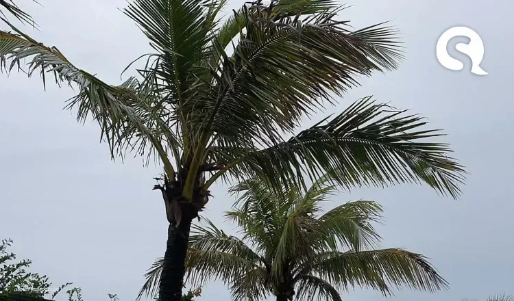 Ceará pode registrar até 37°C e ventos de 50 km/h nos próximos dias, alerta Funceme