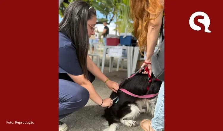 Giro Pet Ceará leva encoleiramento antiparasitário e vacinação antirrábica para região do Sertão de Sobral