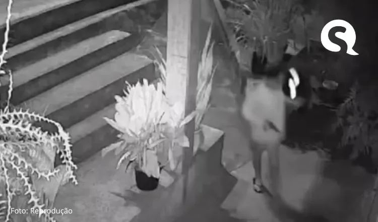 Polícia prende dupla que arrombou casa e matou morador a tiros no Ceará