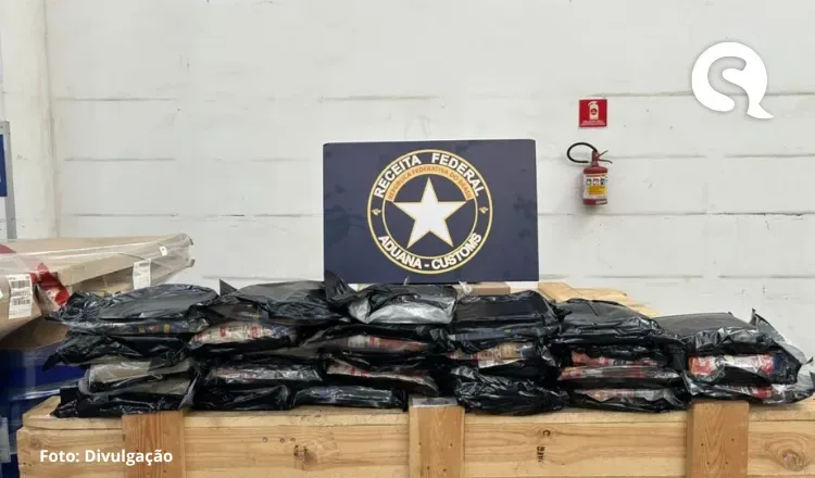 Receita Federal apreende 30 kg de skunk em transportadora de Fortaleza