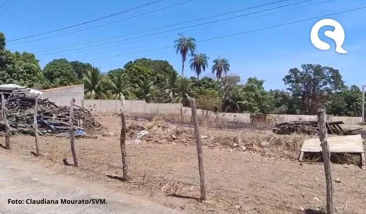 Homem é atacado por abelhas e morre atropelado