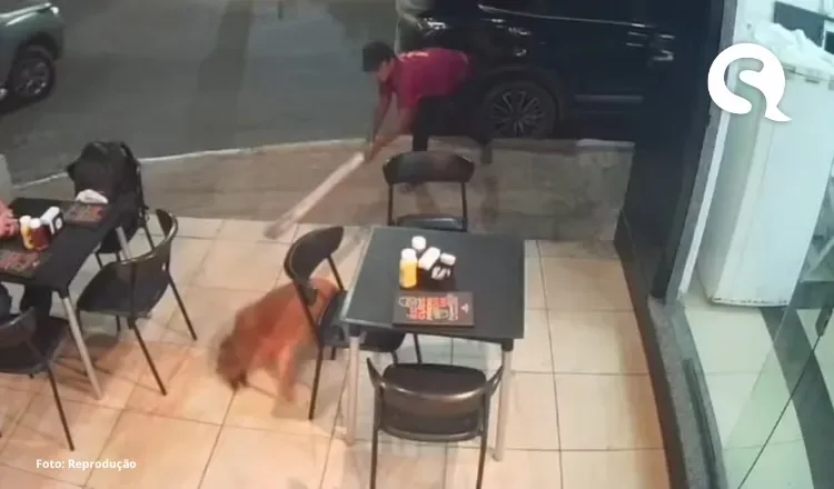 Homem é preso por agredir cachorro com paulada