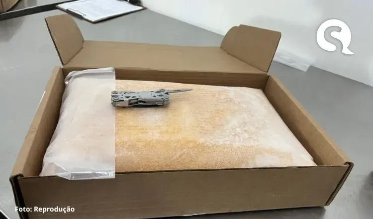 Operação da Receita Federal e Ibama apreende 19 toneladas de caviar no Porto do Pecém