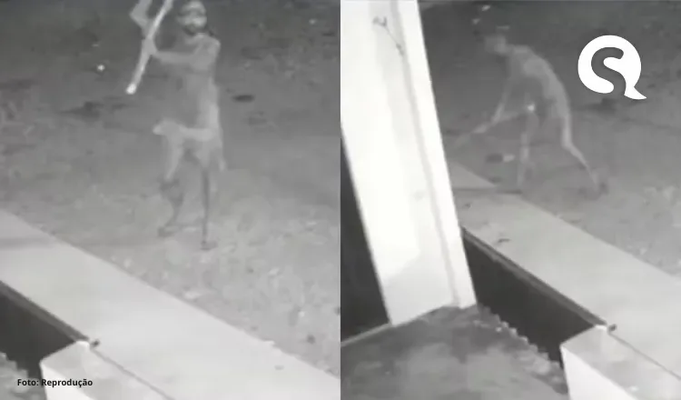 Polícia procura homem que matou cachorro a pauladas no interior do Ceará