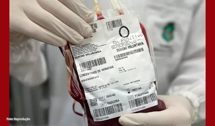 Hemoce lança campanha para reforçar estoques de sangue na Semana Santa e incentivar doações antes de viagens