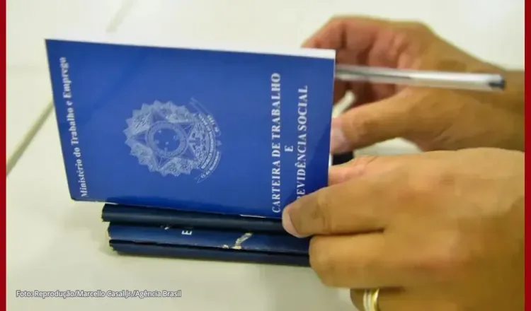 Pesquisa revela que brasileiro prefere emprego com carteira assinada