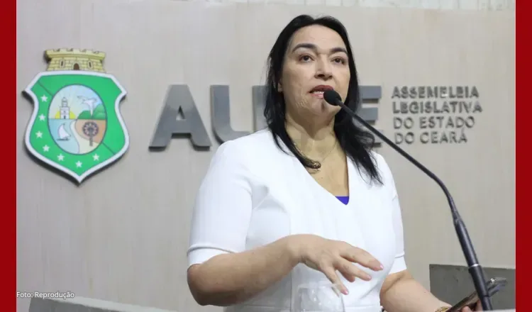 “A Michele faz um desserviço quando torna público essa desavença com o Flávio”, diz Silvana