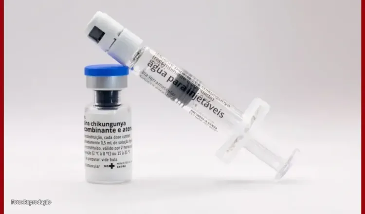 Butantan vai produzir vacina nacional contra chikungunya