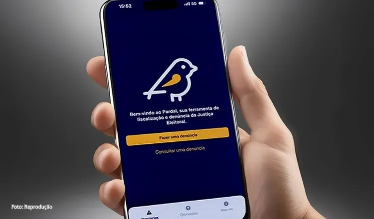 Ibiapaba registra denúncias no aplicativo Pardal em 15 dias de campanhas eleitorais
